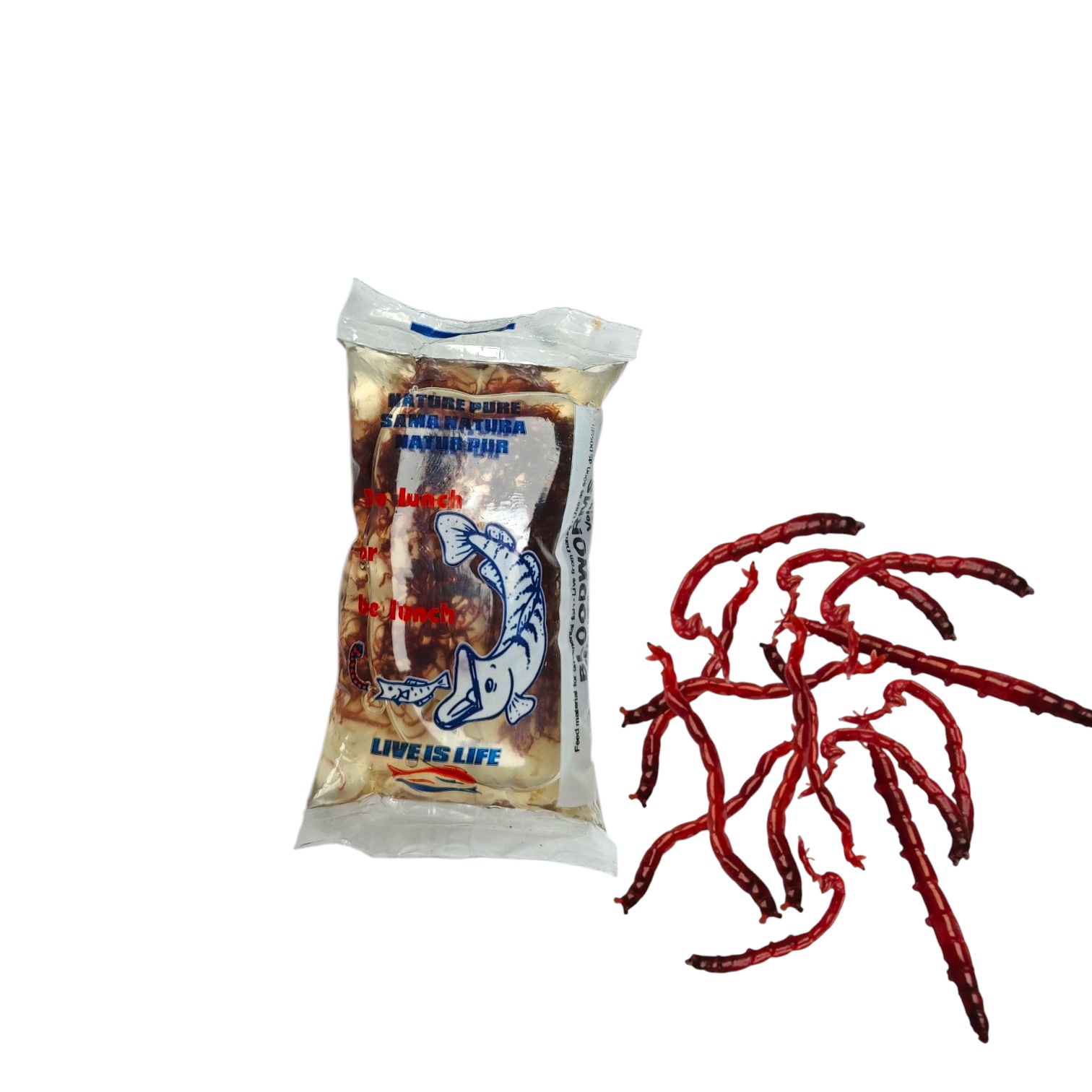 lebende rote Jumbo Mückenlarven - Lebendfutter in der Aquaristik