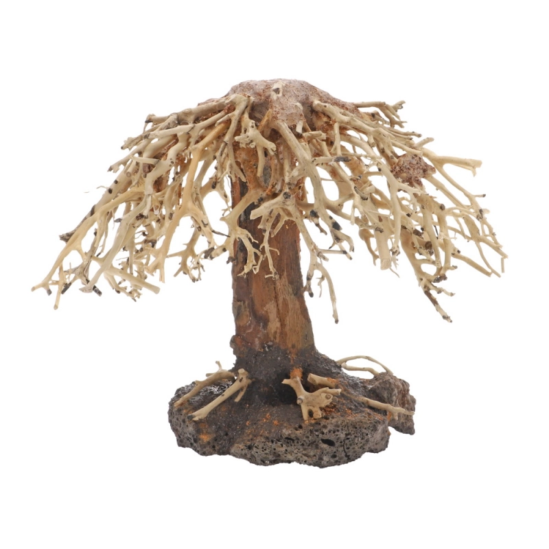 Unterwasser Baum - Aquascaping Trauerweide 22cm x 18cm x 13cm