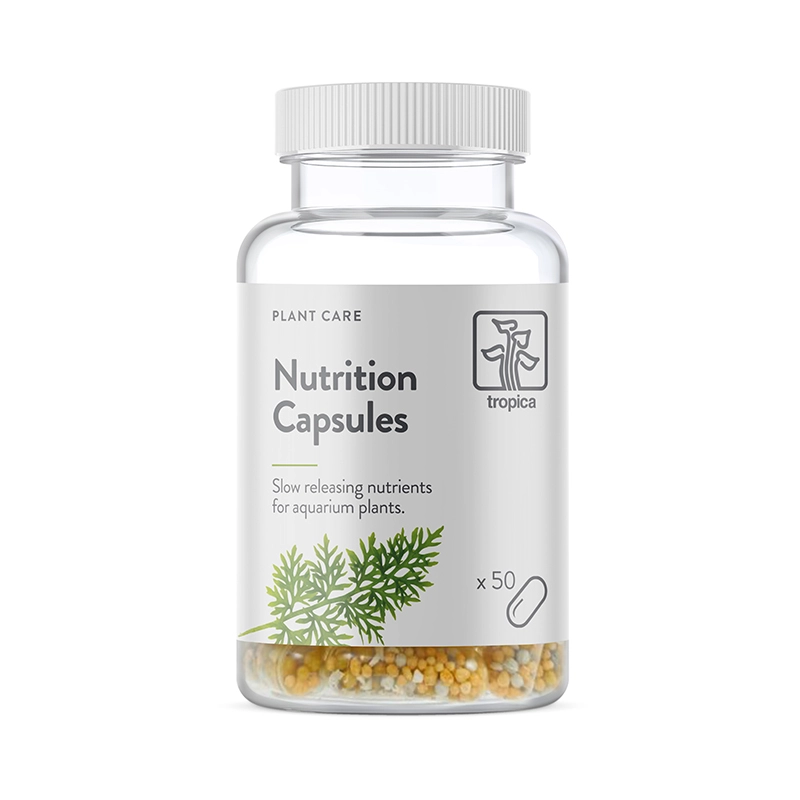 Plant Care Nutrition Capsules | Tropica Düngekapseln