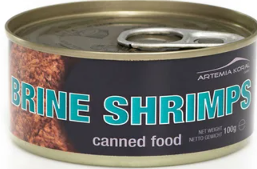Brine Shrimps - Artemia/ Salinenkrebse alternative zum Fostfutter